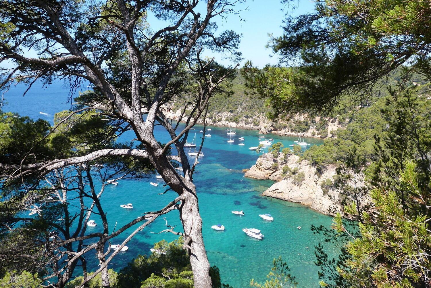 Appartement Coup De Coeur Centre Village Et Plage Climatise 3 Etoiles Terra Cigala Bandol Exterior photo